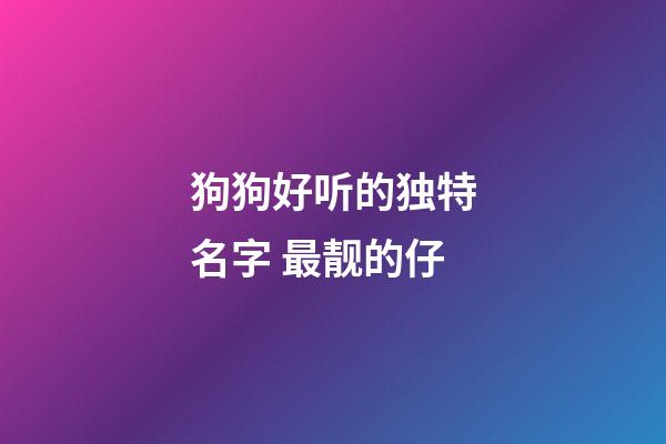 狗狗好听的独特名字 最靓的仔